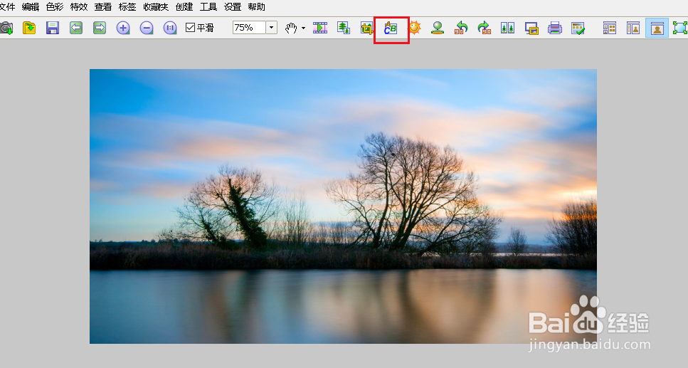 FastStone Image Viewer为图片添加文字