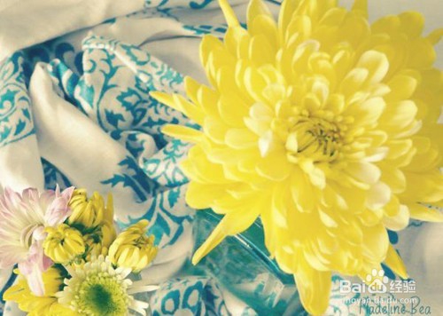 如何穿出法式休闲style（一）