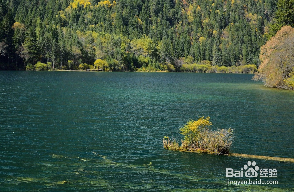 销售人员应该掌握哪些谈判技巧？