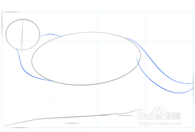 如何画美洲狮宝宝