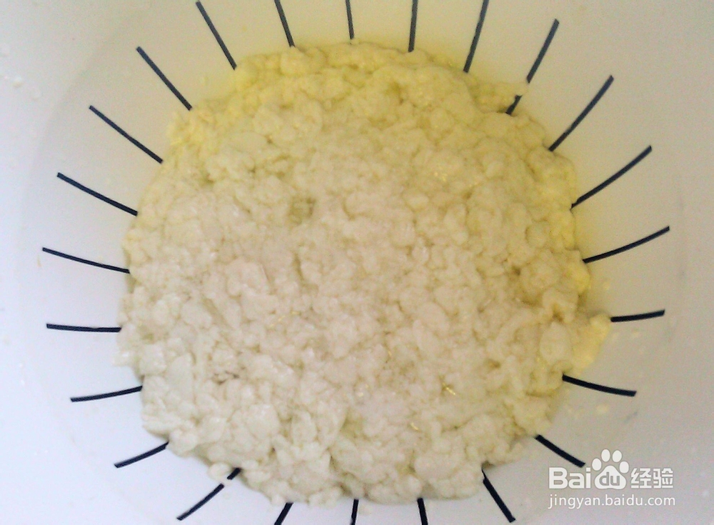 味美鲜香的马苏里拉奶酪