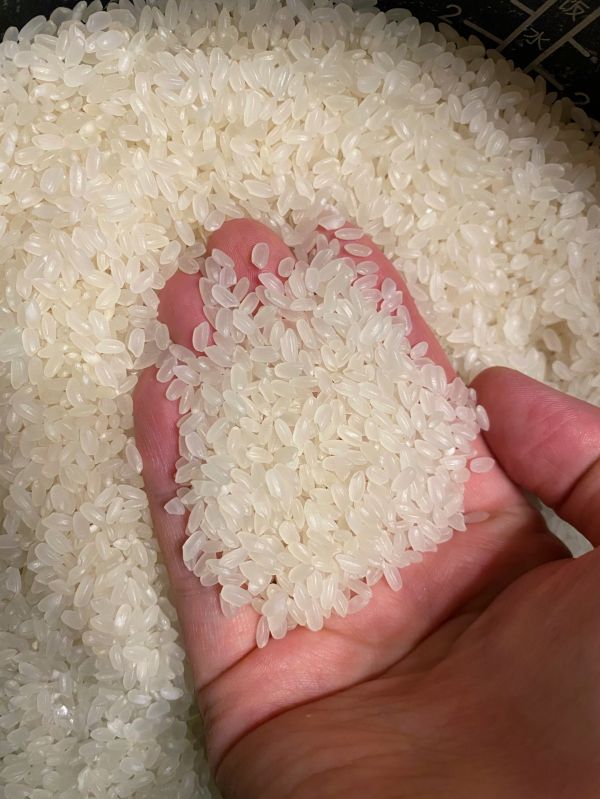 电饭煲快手排骨焖饭