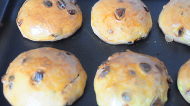 蜜枣小面包的做法