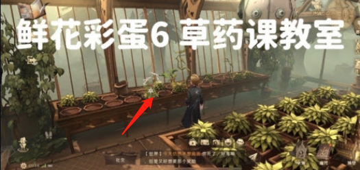 哈利波特魔法觉醒鲜花彩蛋收集位置大全