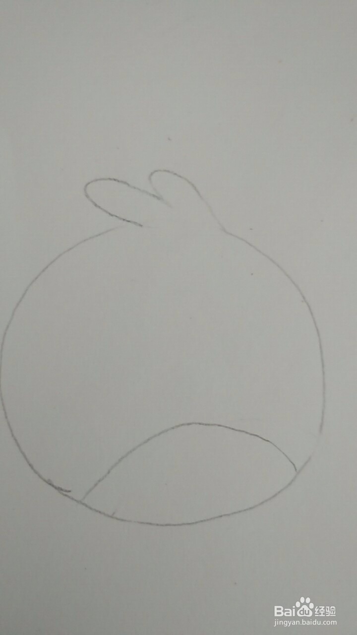 多妈简笔画愤怒的小鸟