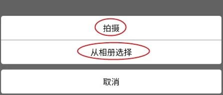 宠可爱怎样修改头像