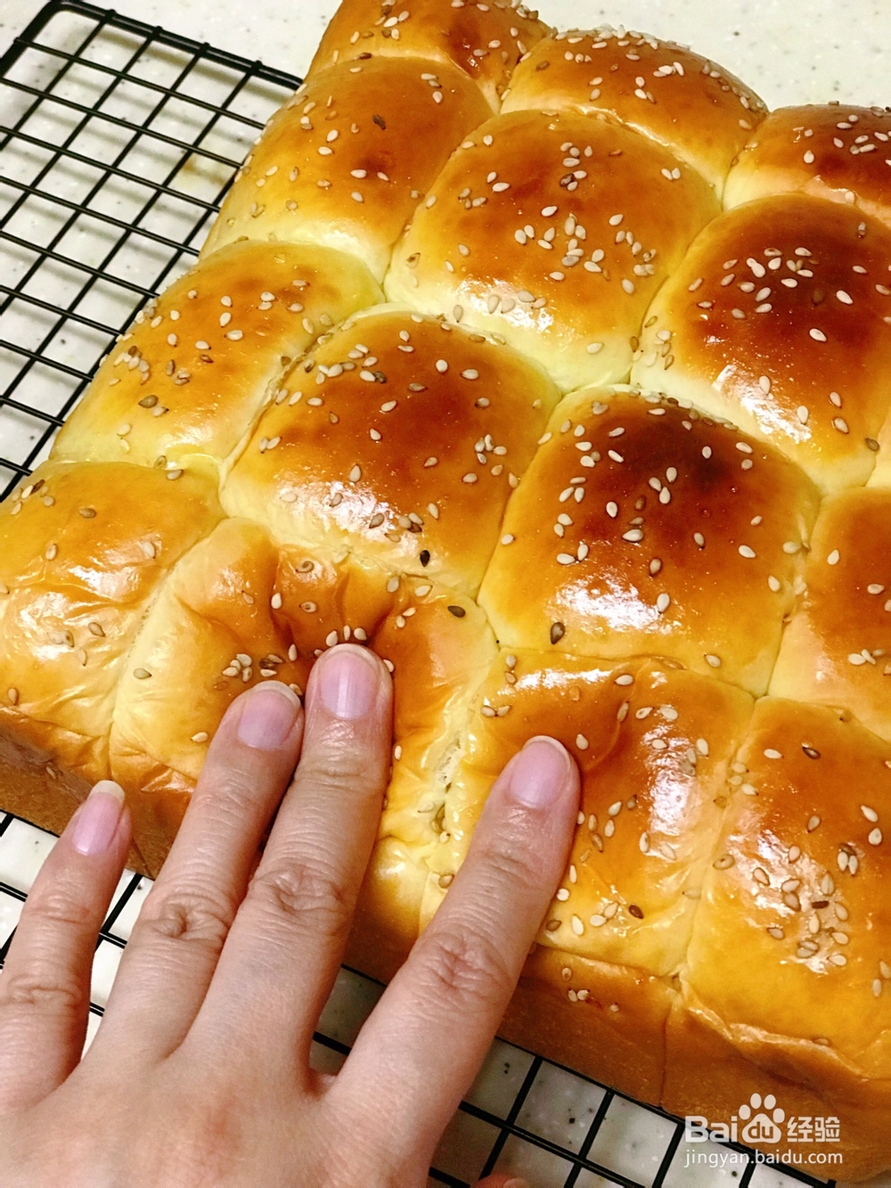 蜂蜜牛奶小餐包美味制作方法