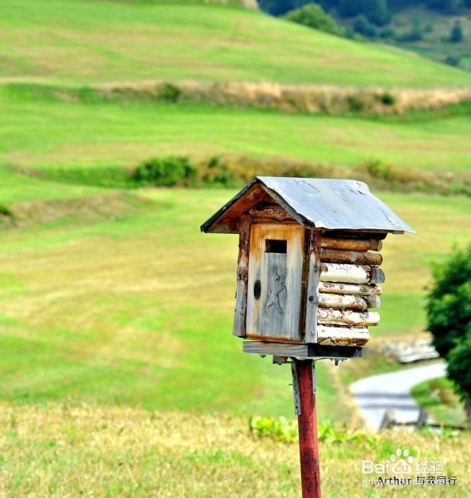 《彳亍世界》：纯净瑞士马年送你一匹马