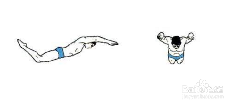 蝶泳的划手方法