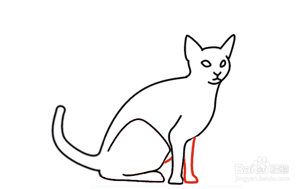 如何画猫