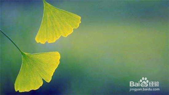 低龄小学生如何保护视力？