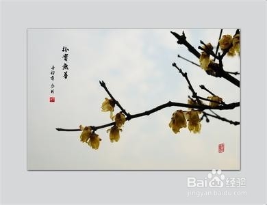 小清新文字图片的多种方法