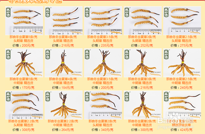 冬虫夏草价格表