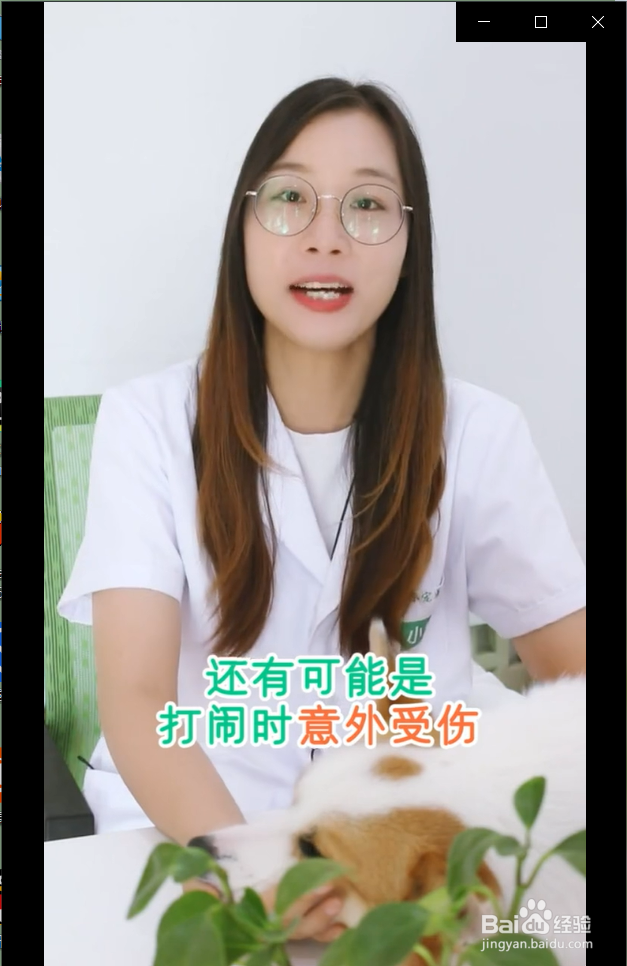 猫咪眼睛红肿流眼泪是怎么回事