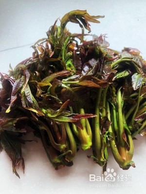 食补佳品香椿煎蛋的做法