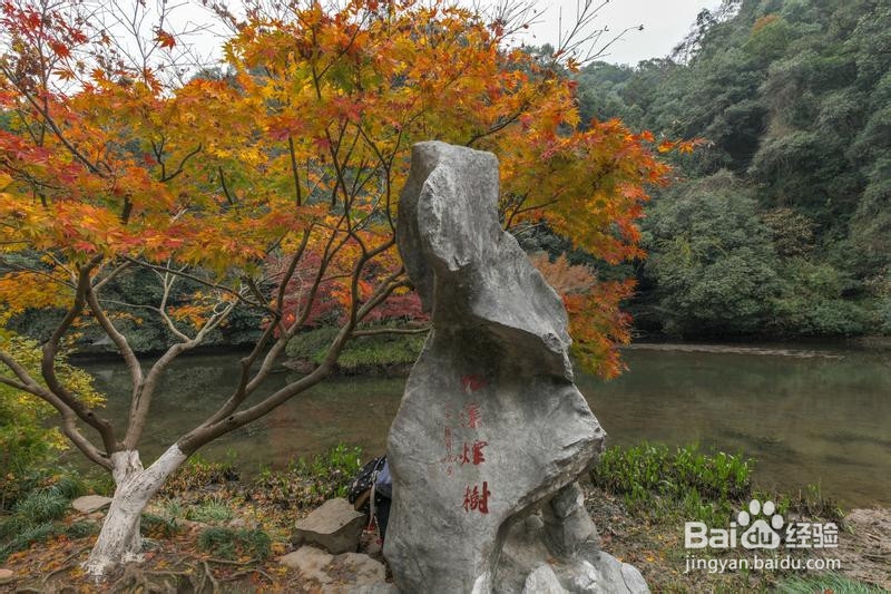 诗画浙江畅游杭州攻略5