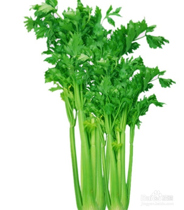 怀孕期准妈妈应多吃哪些食物