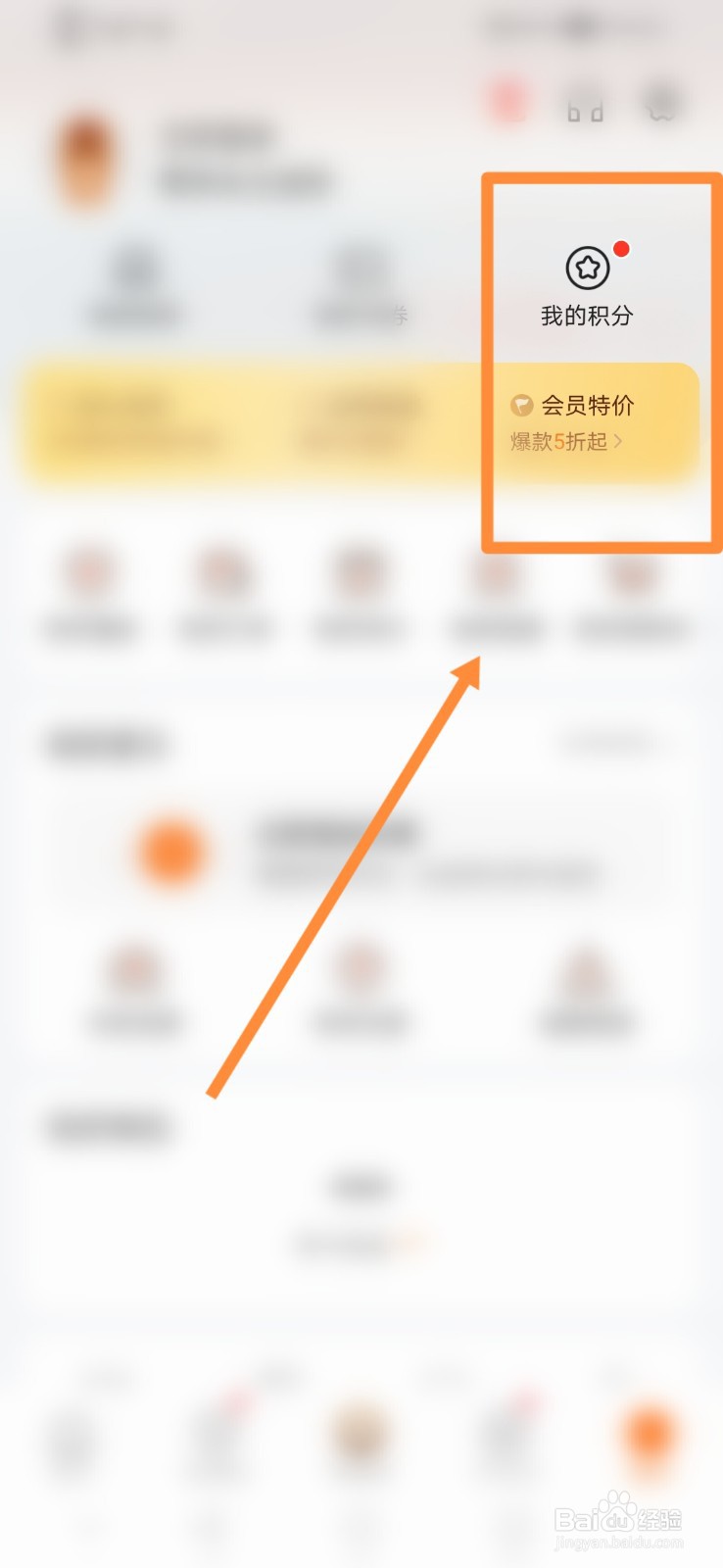平安好车主怎么查看我的积分