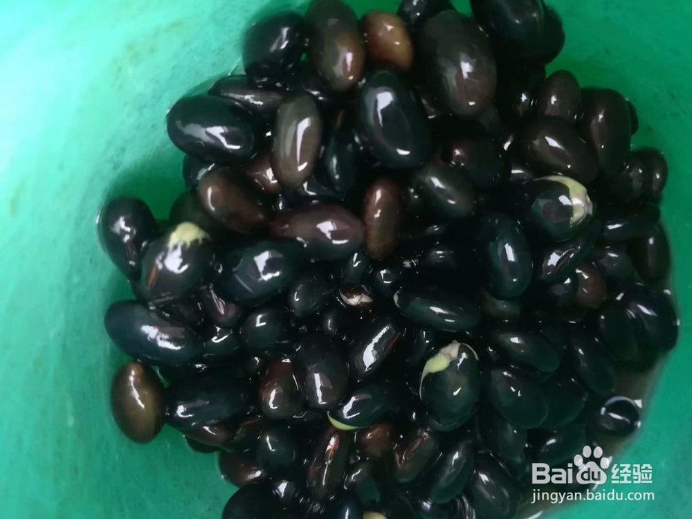 宽根藤黑豆猪脚汤怎么做才好吃