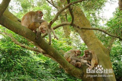 <b>贵阳旅游小建议</b>