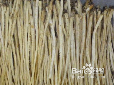 北沙参的功效与药用价值