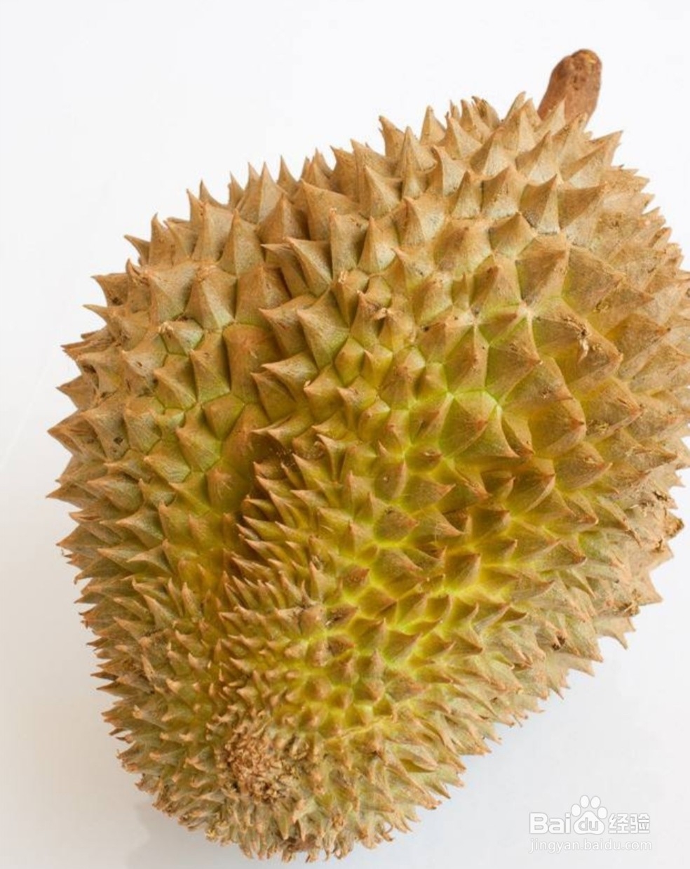 你喜欢吃这些水果吗?