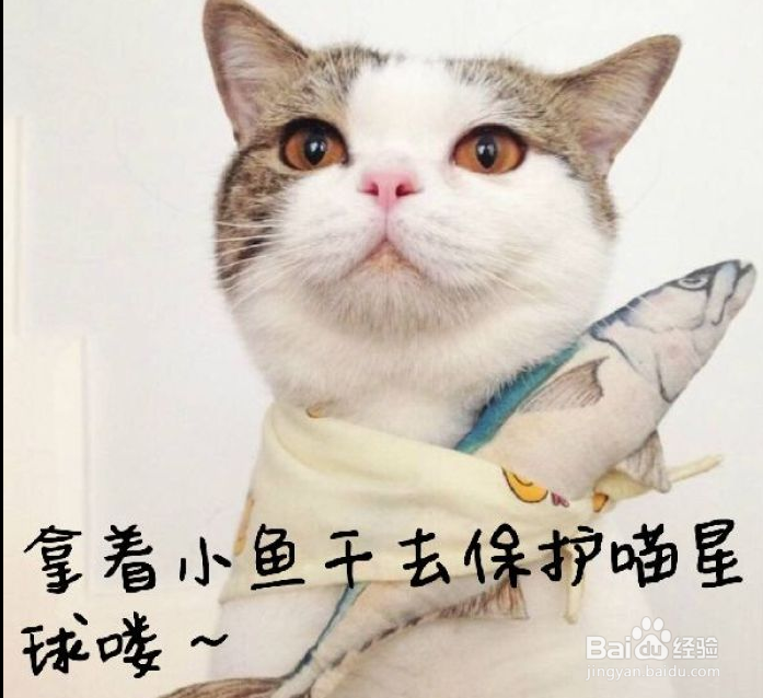 把带鱼晒干的方法