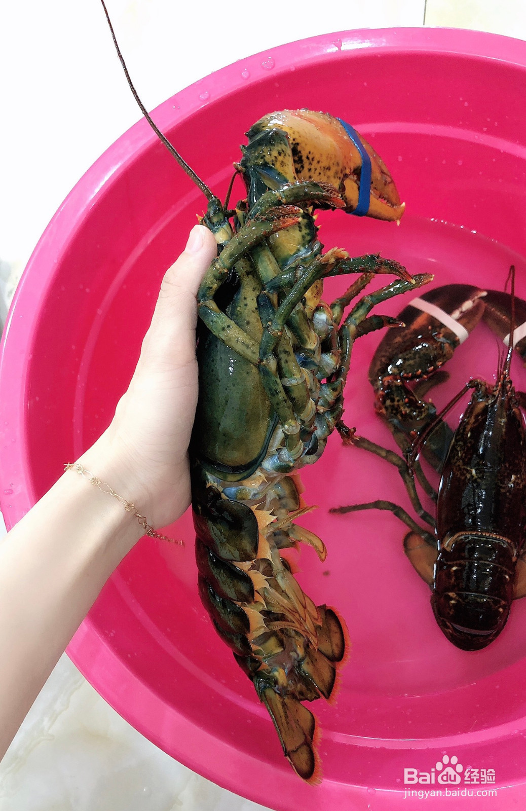 鲜美蒜蓉大龙虾的做法