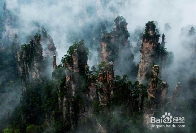 完美张家界,此行无悔,不可错过的精华省钱
