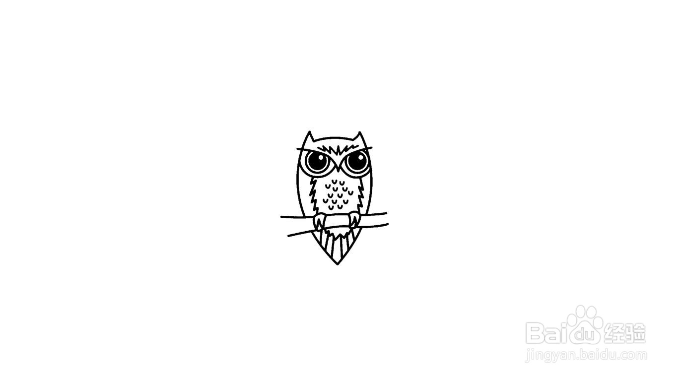 猫头鹰简笔画画法分解