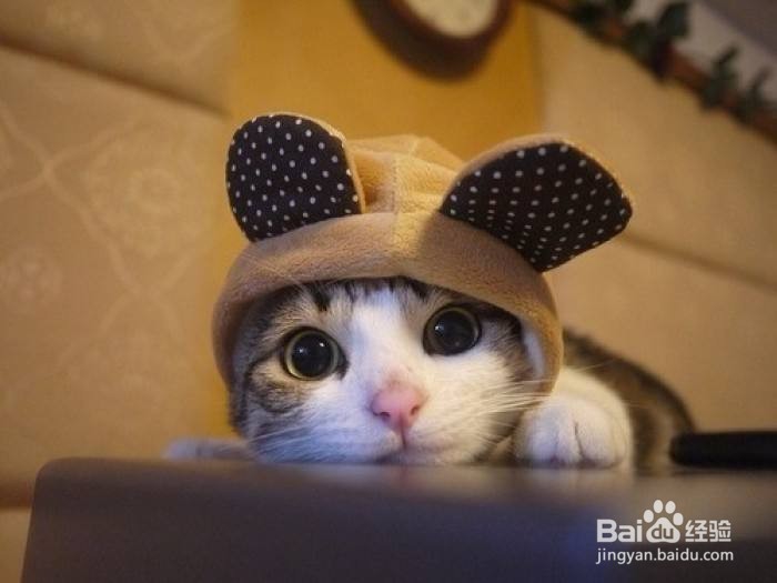 心情不好的时候，吃这3种食物就可以减压了吗？