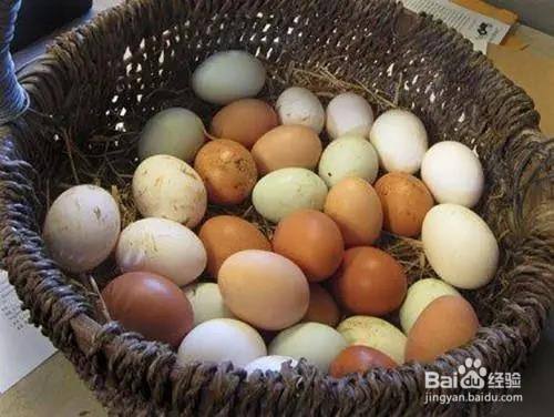 白壳与红壳鸡蛋到底有啥区别？