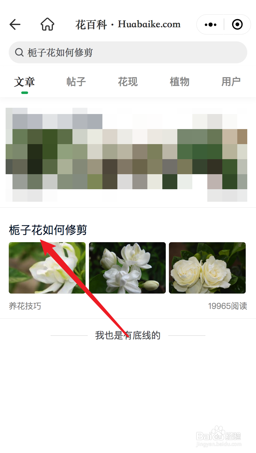 栀子花如何修剪