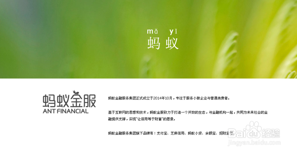 蚂蚁金服怎么样,怎么在蚂蚁金服贷款
