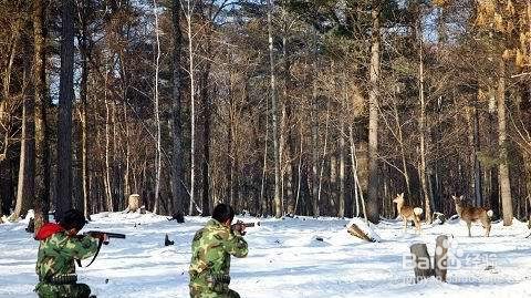 沙园有什么好玩的地方