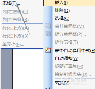 Word 2003中怎样建一个记忆尺寸的表格？