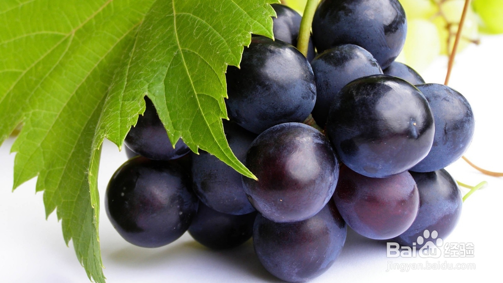 如何买到满意的水果？