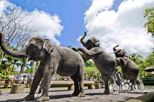 十一月去哪里旅游好？请考虑到巴厘岛