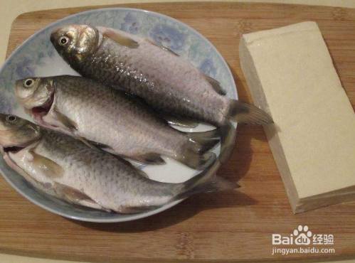 买鱼的时候应该怎么挑鱼