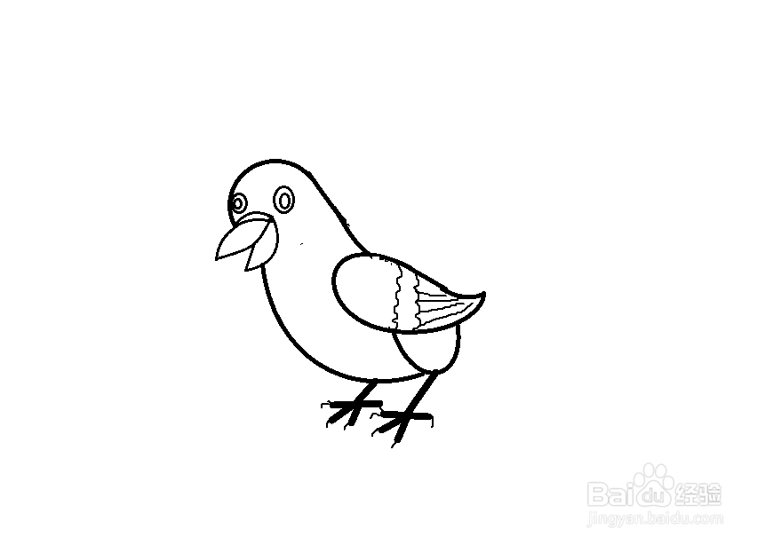 怎么简单画斑鸠