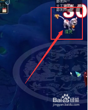 梦幻西游人形猫灵怎么抓