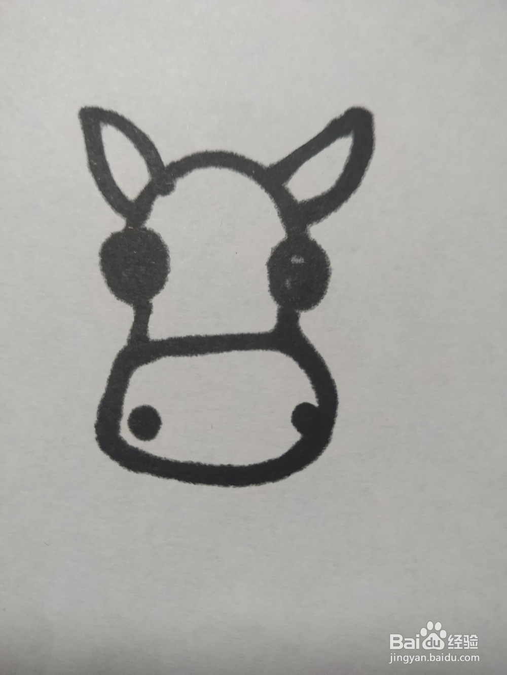 毛驴的简笔画技法13