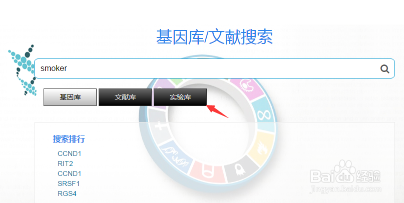 如何查找肺癌相关疾病