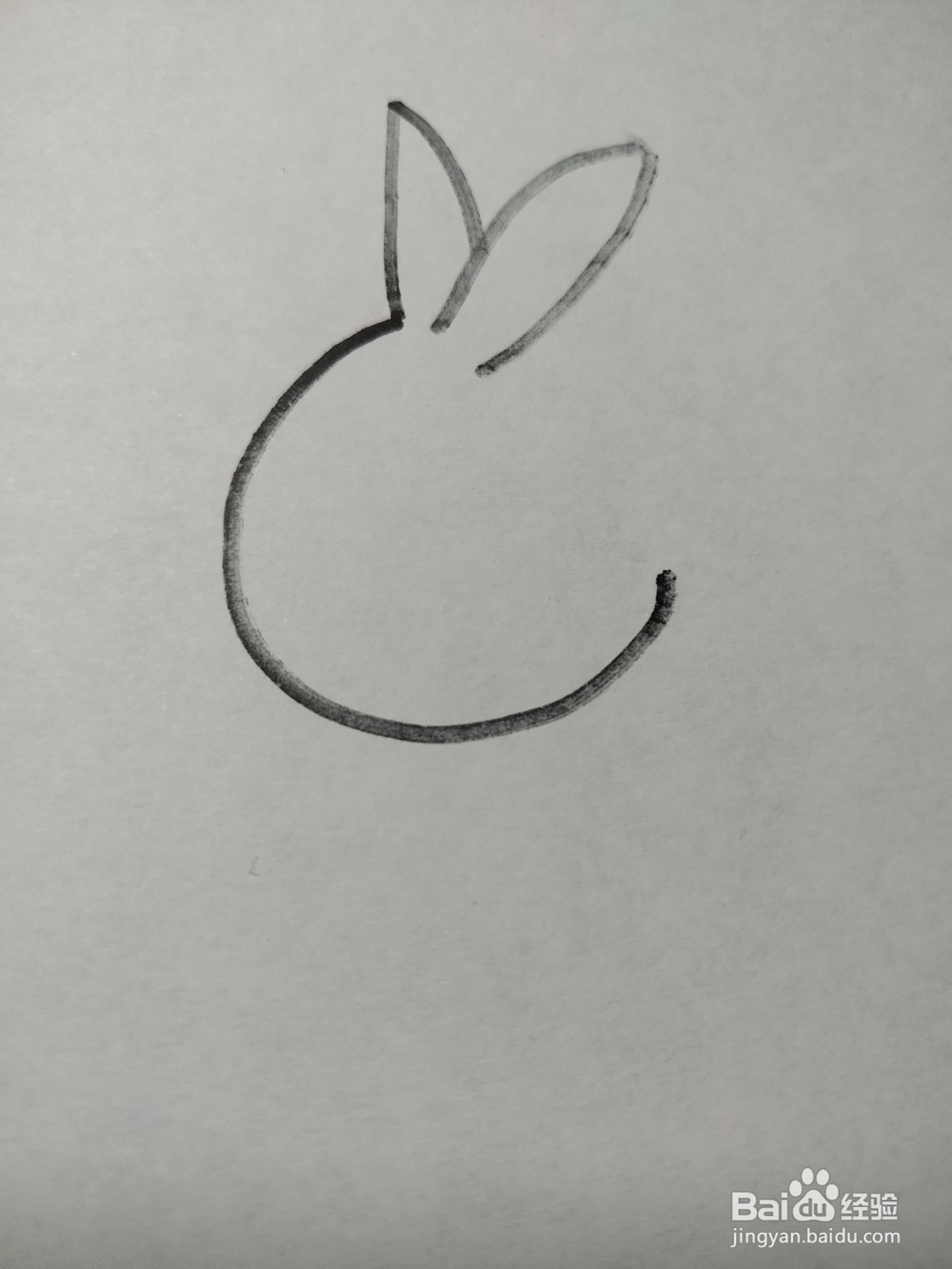 毛驴的简笔画技法6