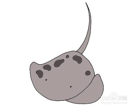 鳐鱼的简单画法
