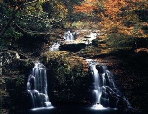 三重县(日本)有什么好玩