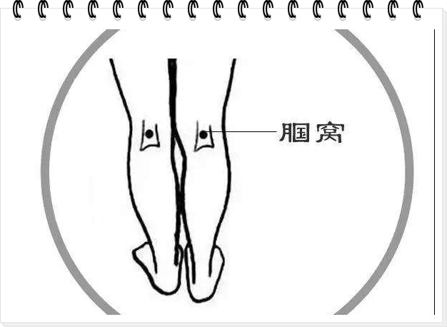什么是腘窝角