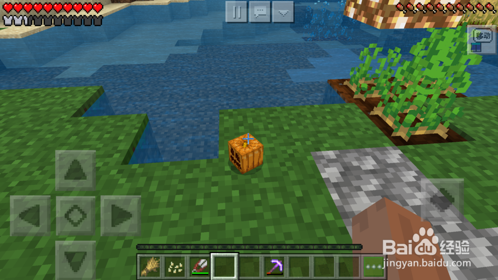 我的世界如何雕刻南瓜?