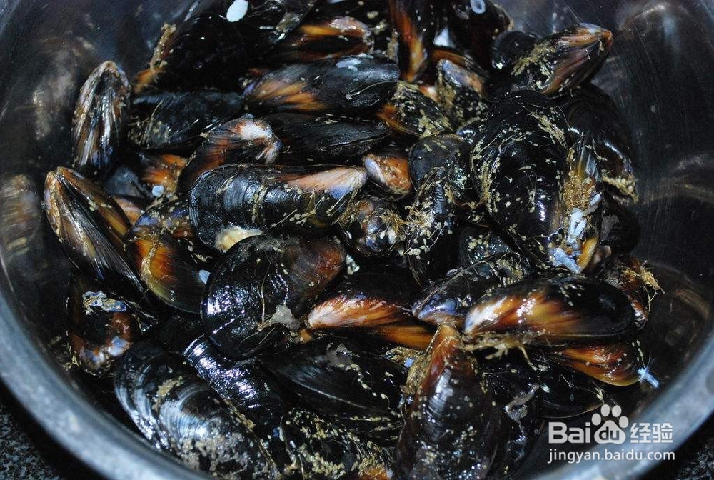 蘸汁清蒸海虹