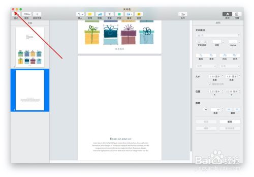Pages文稿中的"生日贺卡"模板如何使用